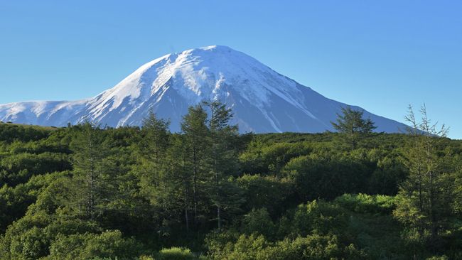Вулкан Плоский Толбачик в Камчатском крае