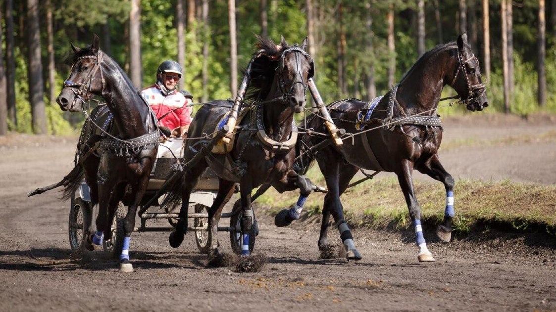 Экипаж русской тройки - РИА Новости, 1920, 17.08.2025