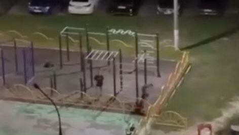 Избиение девушки на детской площадке в подмосковной Шатуре. Кадр видео Избиение девушки на детской площадке в подмосковной Шатуре. Кадр видео - РИА Новости, 1920, 21.08.2025