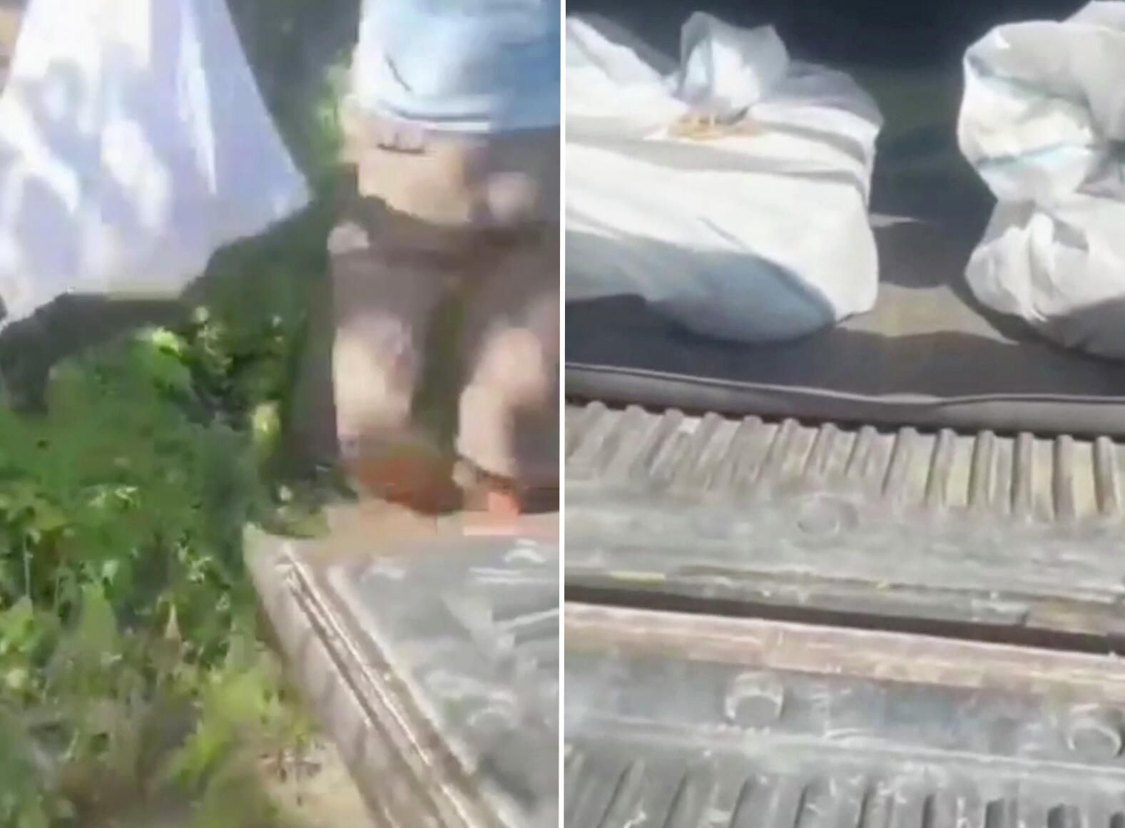 Мужчина кладёт в багажник автомобиля мешки с котами в Находке Мужчина кладёт в багажник автомобиля мешки с котами в Находке - РИА Новости, 1920, 21.08.2025