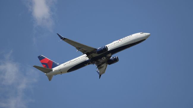 Самолет Boeing 737 авиакомпании Delta