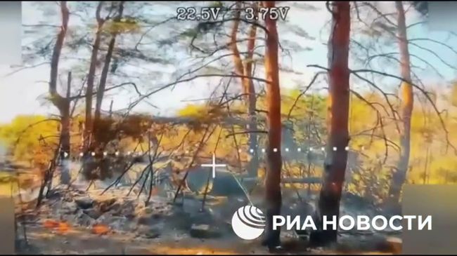 Уничтожение Ланцетом замаскированного танка Leopard на Купянском направлении  
