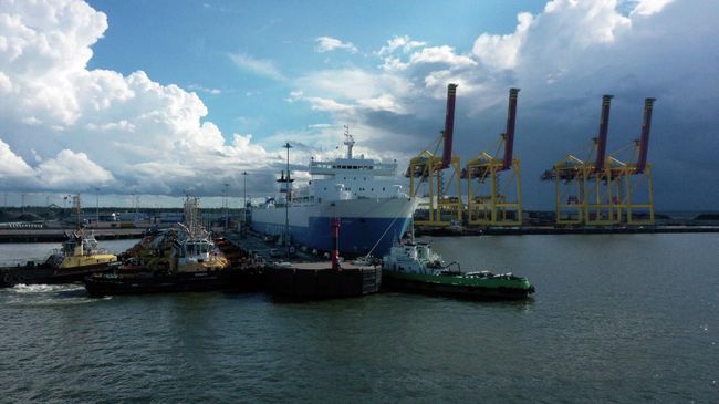Морской порт Усть-Луга расположен в Ленинградской области