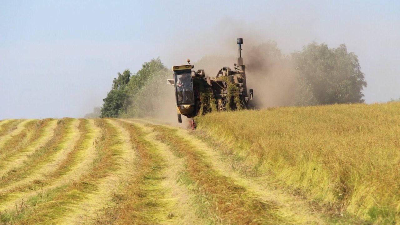 Сбор урожая - РИА Новости, 1920, 15.07.2026