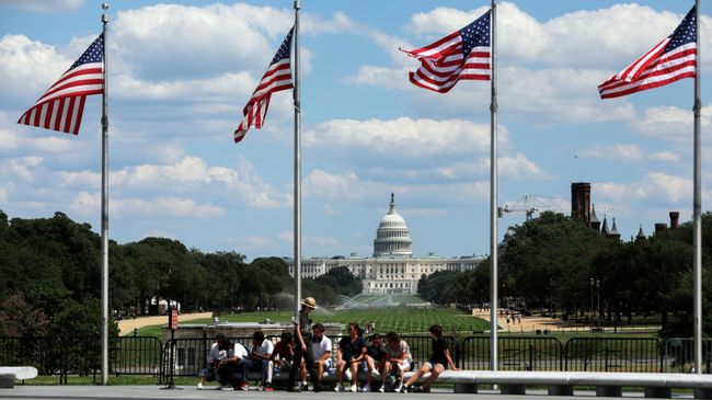 Флаги США на фоне Капитолия в Вашингтоне
