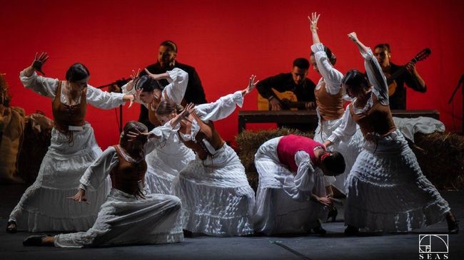 Спектакль Кармен труппы Barcelona Flamenco Ballet