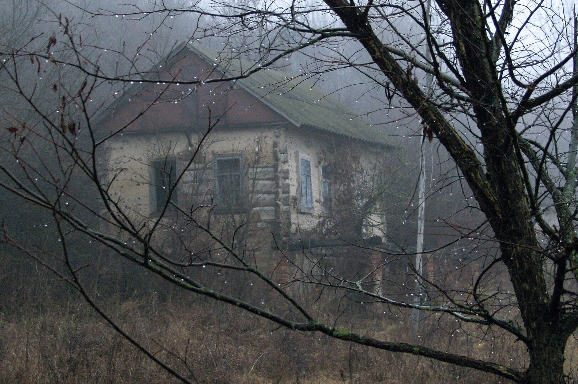 Брошенная деревня Брошенная деревня - РИА Новости, 1920, 03.10.2025