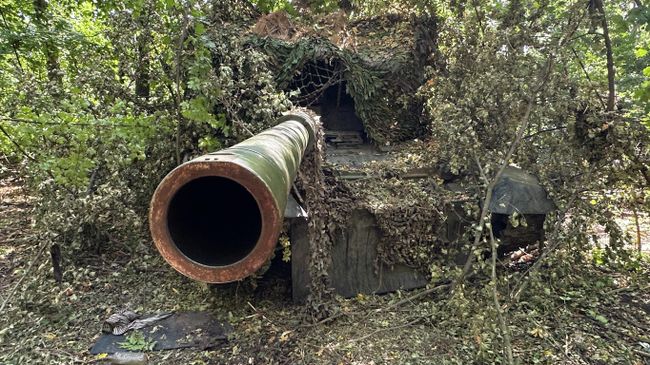 Танк Т-72Б3М в лесопосадке