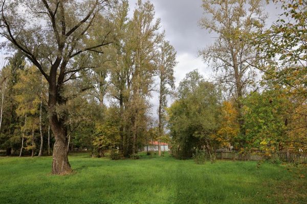 Осень в Мелихово