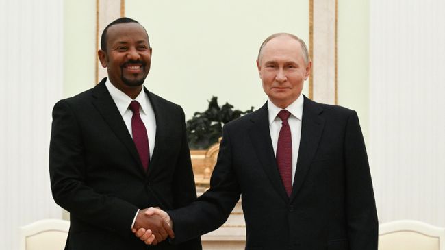 Эфиопия рада сотрудничеству с Россией, заявил премьер