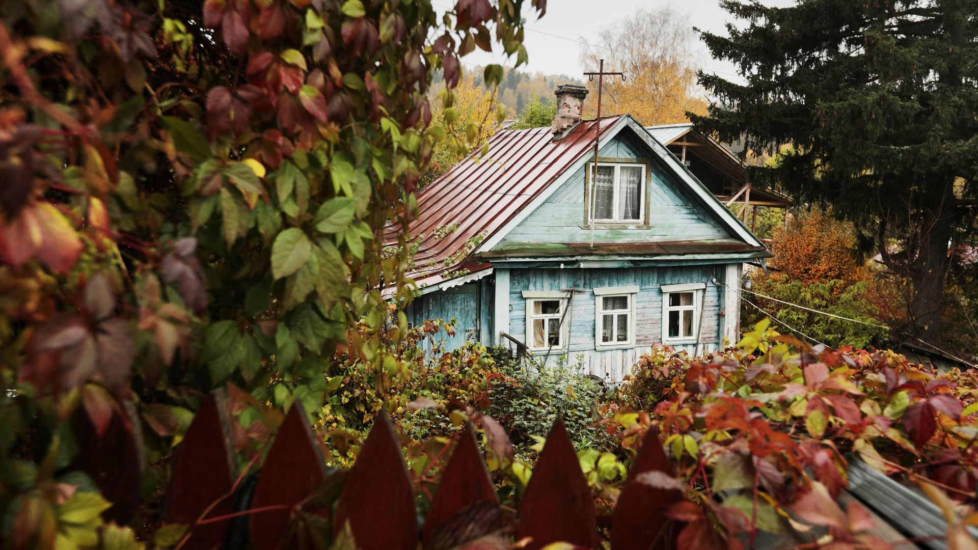 Частный дом в городе Плёс - РИА Новости, 1920, 02.10.2025