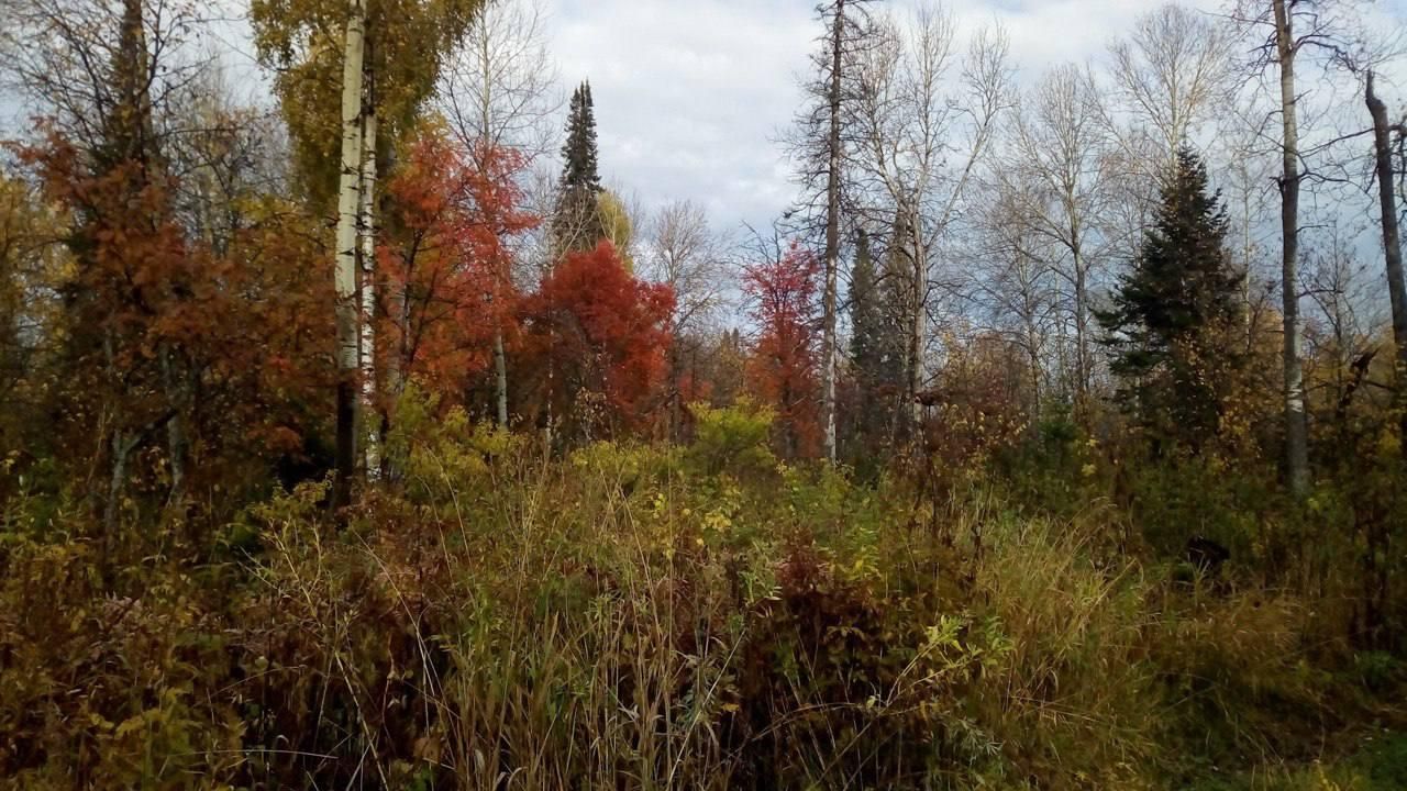 Местность Минская петля в Красноярском крае, где пропала семья во время турпохода Местность Минская петля в Красноярском крае, где пропала семья во время турпохода - РИА Новости, 1920, 02.10.2025