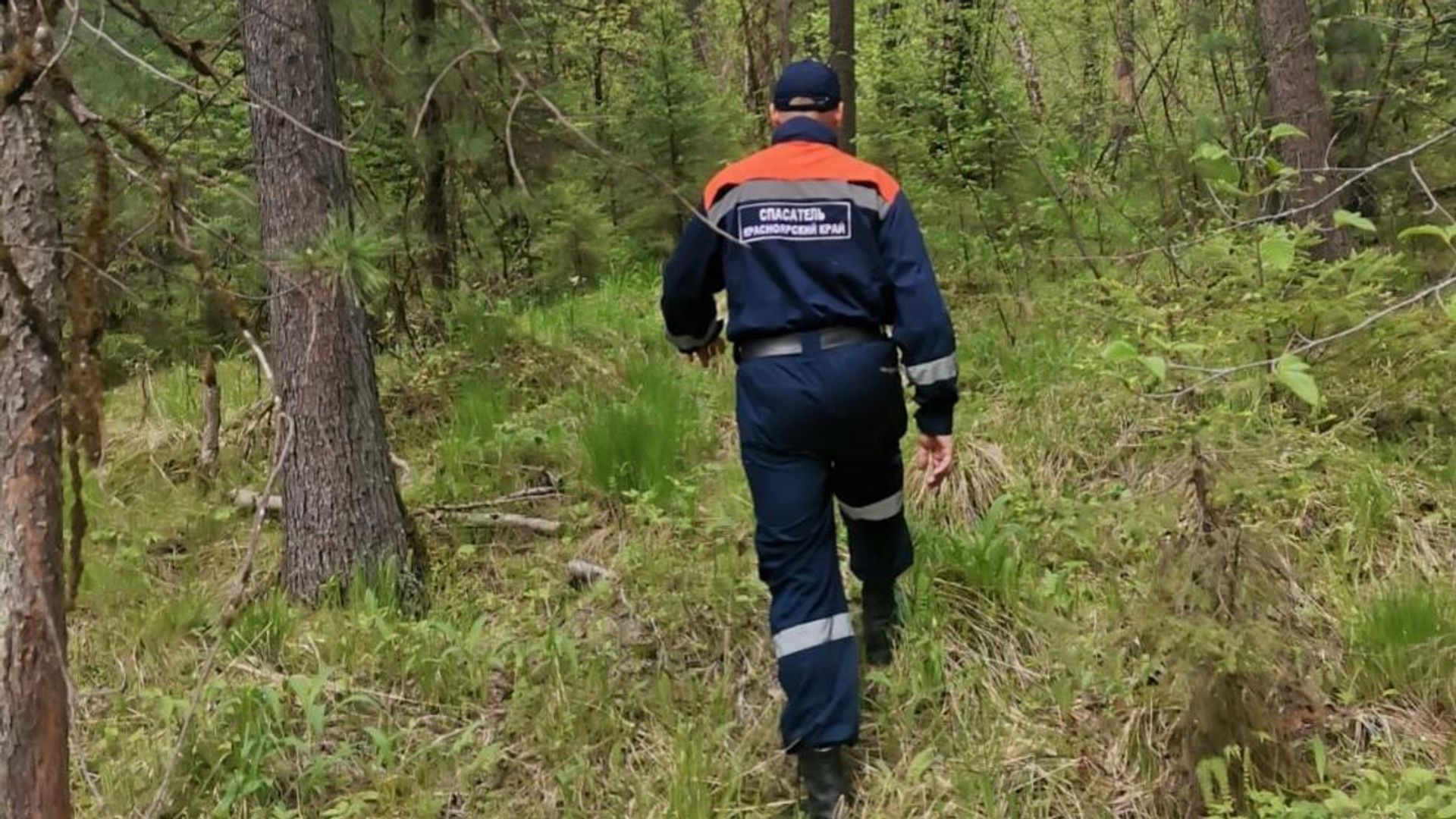 Поисково-спасательные работы по поиску семьи в лесном массиве поселка Кутурчин в Красноярском крае - РИА Новости, 1920, 05.10.2026