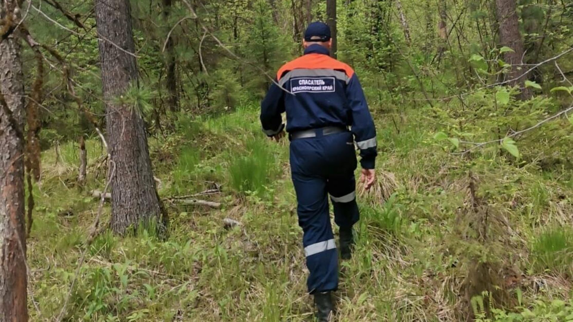 Поисково-спасательные работы по поиску семьи в лесном массиве поселка Кутурчин в Красноярском крае - РИА Новости, 1920, 28.09.2026