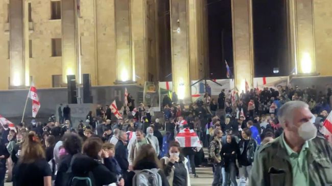 Митингующие у здания парламента в Тбилиси