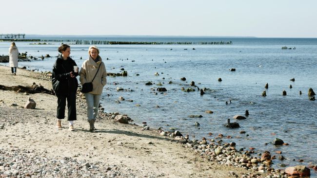 Люди идут по пляжу на побережье Балтийского моря в Калининградской области, откуда видны окаменелые породы реликтовых деревьев