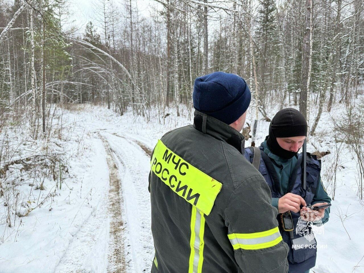 Сотрудники МЧС во время поисково-спасательных работ в Красноярском крае - РИА Новости, 1920, 10.02.2026