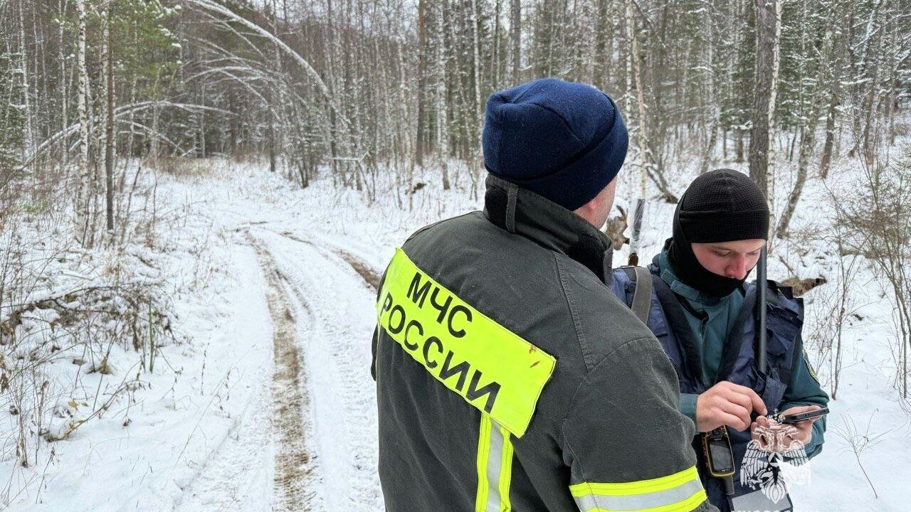 Сотрудники МЧС во время поисково-спасательных работ в Красноярском крае Сотрудники МЧС во время поисково-спасательных работ в Красноярском крае - РИА Новости, 1920, 24.12.2025