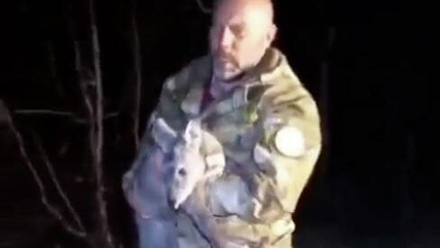 Краснокнижную кабаргу спасли и выпустили в леc в Сахалинской области - РИА Новости, 1920, 10.10.2025