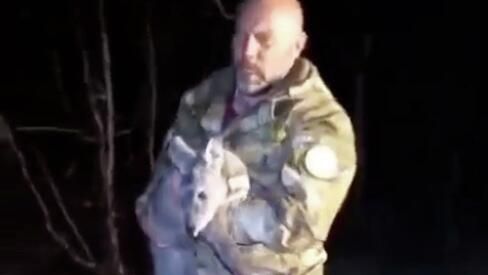 Краснокнижную кабаргу спасли и выпустили в леc в Сахалинской области Краснокнижную кабаргу спасли и выпустили в леc в Сахалинской области - РИА Новости, 1920, 10.10.2025