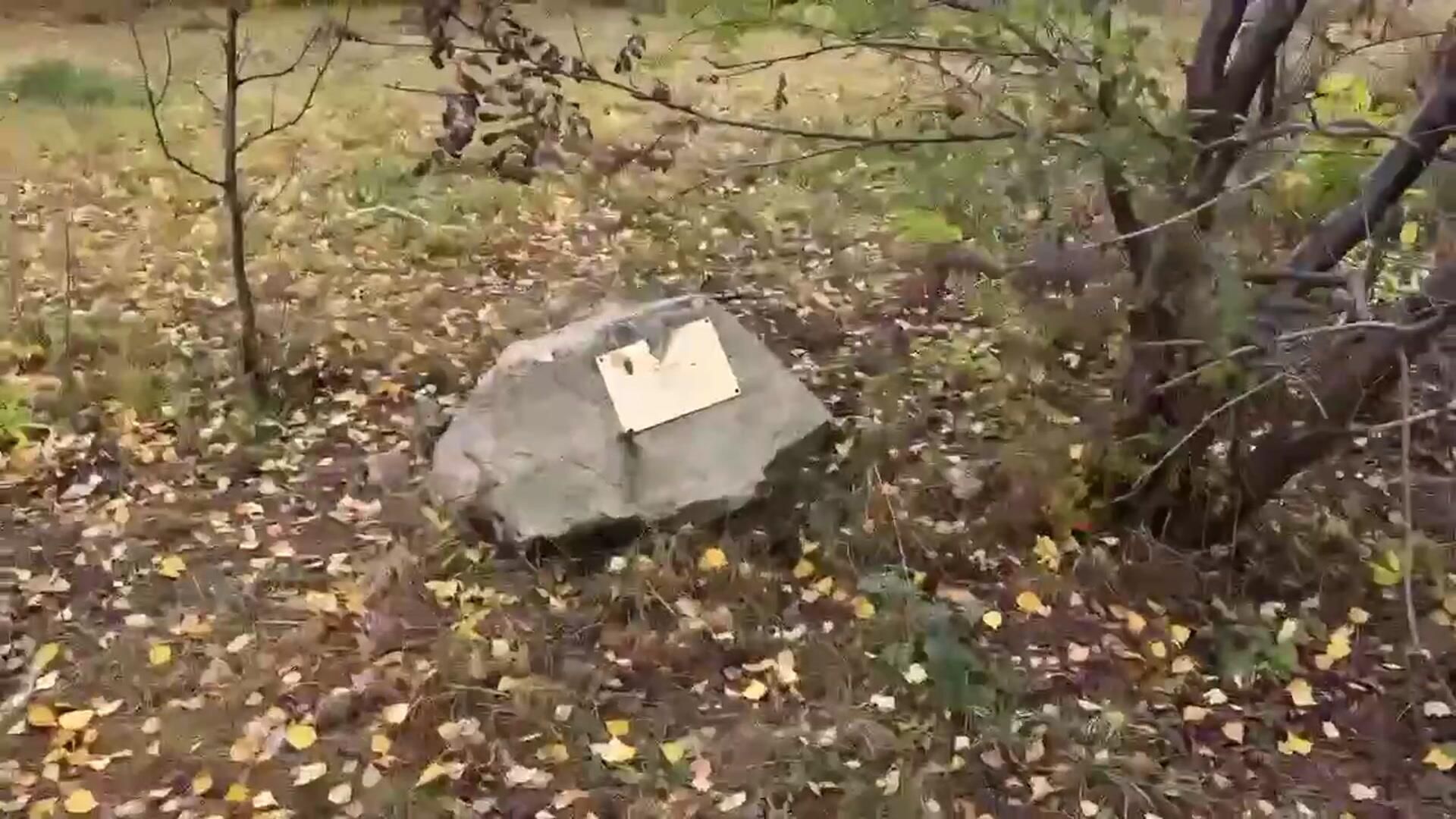 Губернатор Самарской области Вячеслав Федорищев об увольнении главы Кинельского района Губернатор Самарской области Вячеслав Федорищев об увольнении главы Кинельского района - РИА Новости, 1920, 15.10.2025
