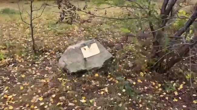 Губернатор Самарской области Вячеслав Федорищев об увольнении главы Кинельского района
