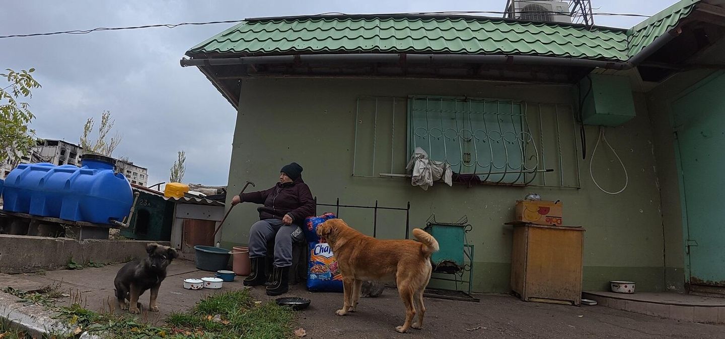 Собаки Малыш и Пират