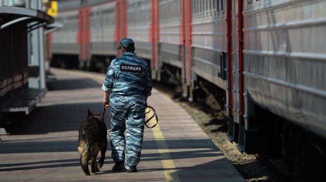 Сотрудник полиции с собакой на перроне станции