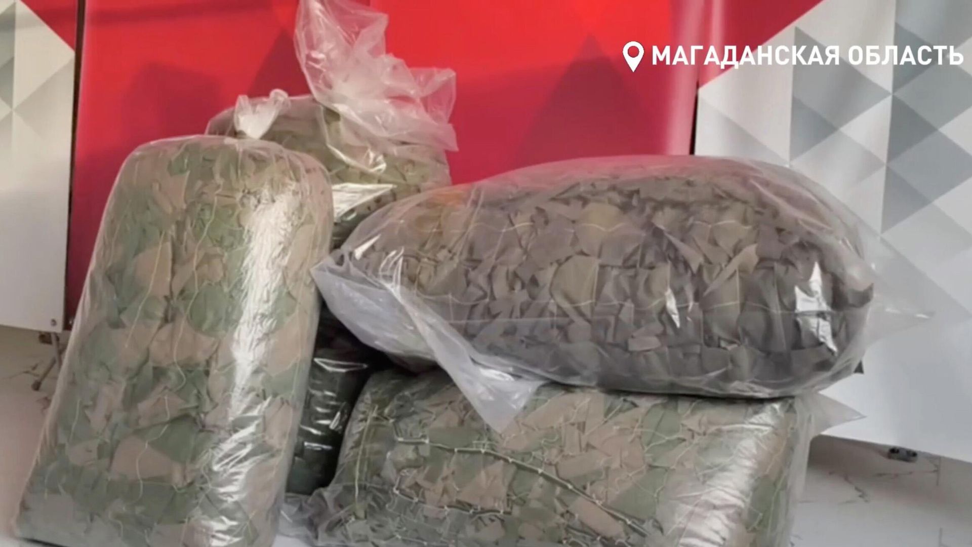 Маскировочные сети, отправленные в Магадан из Северо-Эвенского округа Магаданской области Маскировочные сети, отправленные в Магадан из Северо-Эвенского округа Магаданской области - РИА Новости, 1920, 24.10.2025