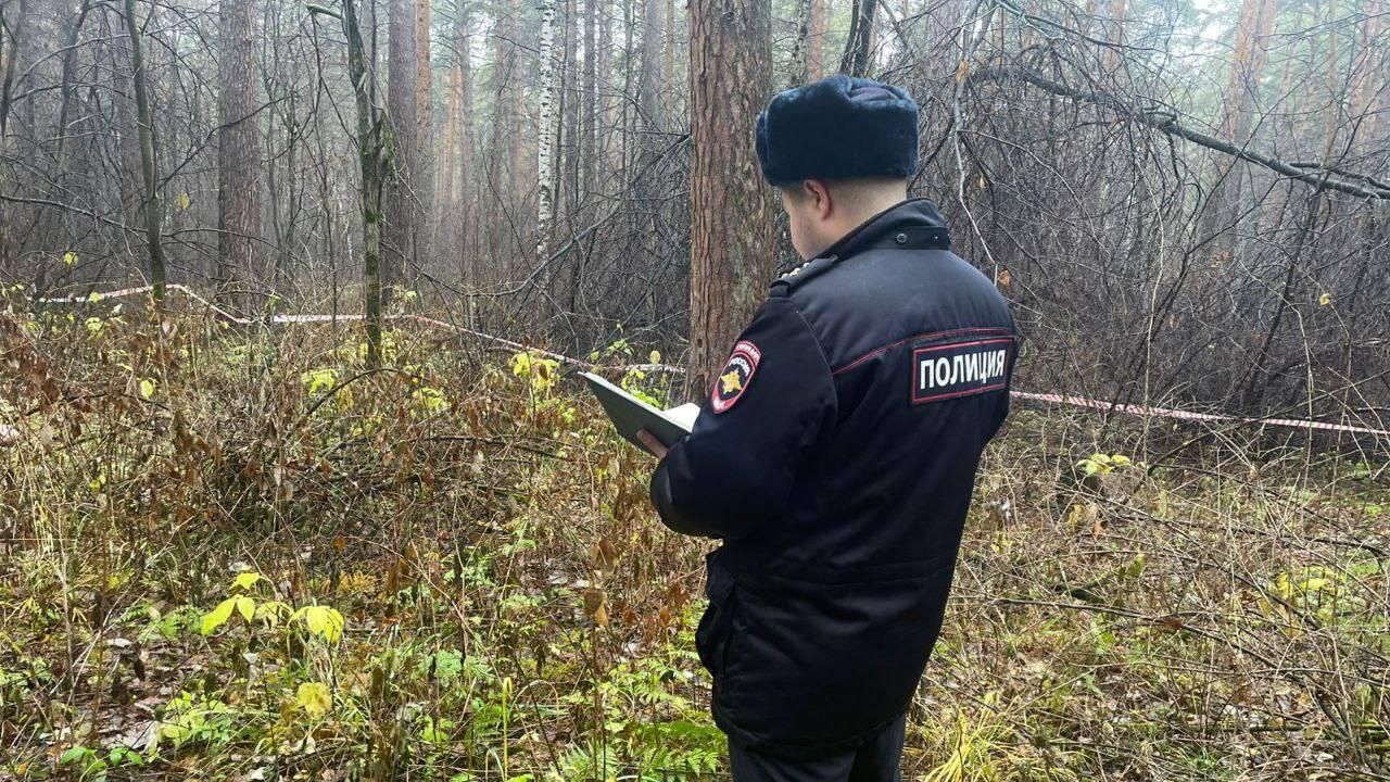 Работа полиции на месте обнаружения тела женщины в Юго-Западном лесопарке в Екатеринбурге - РИА Новости, 1920, 31.10.2025