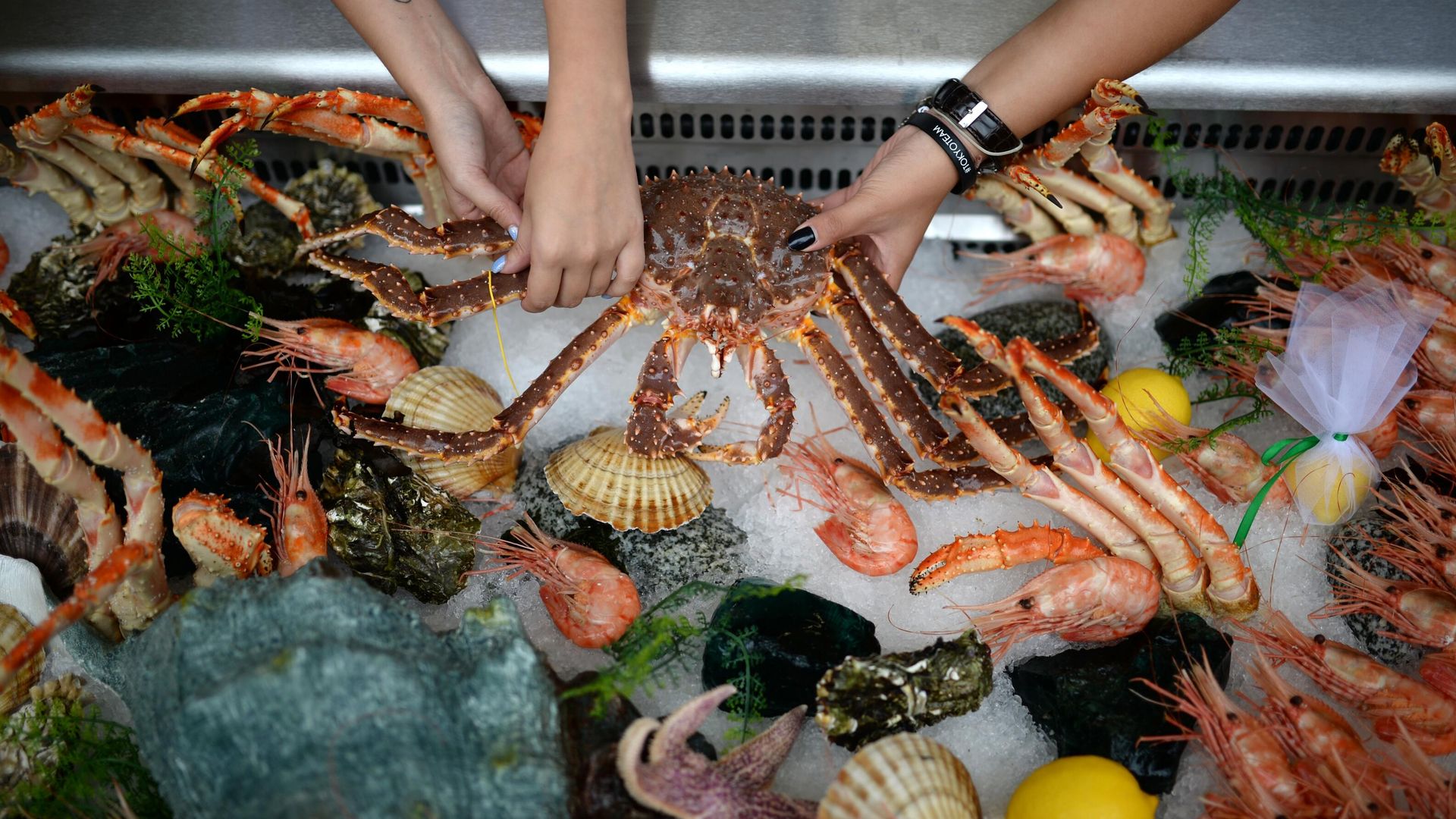 Морепродукты на рыбном рынке во Владивостоке Морепродукты на рыбном рынке во Владивостоке - РИА Новости, 1920, 14.10.2026