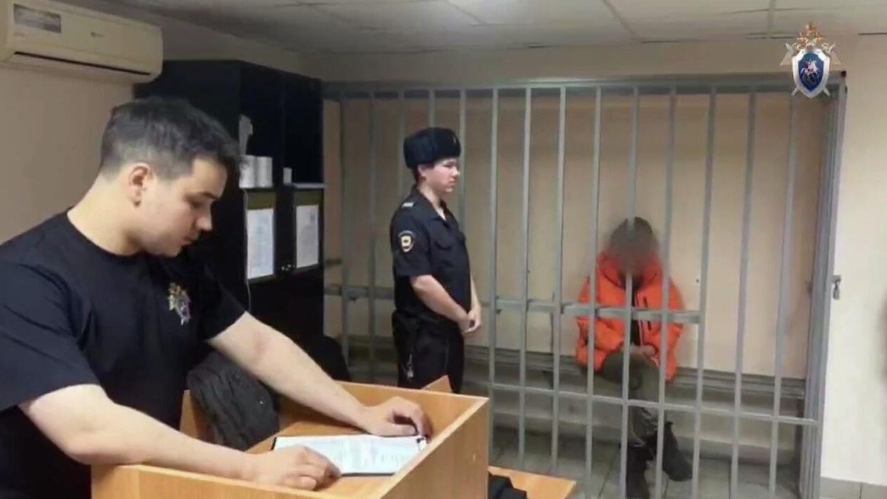 Женщина, обвиняемая в убийстве пятилетней дочери, в Калининском районном суде города Челябинска Женщина, обвиняемая в убийстве пятилетней дочери, в Калининском районном суде города Челябинска - РИА Новости, 1920, 05.11.2025