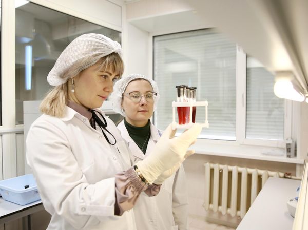 Разработка геропротекторных функциональных продуктов
