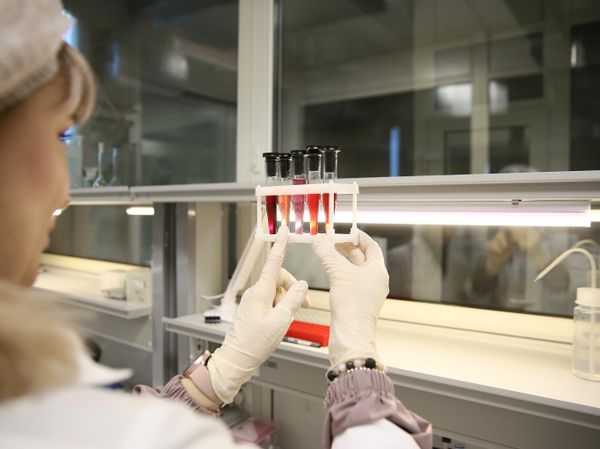 Разработка геропротекторных функциональных продуктов