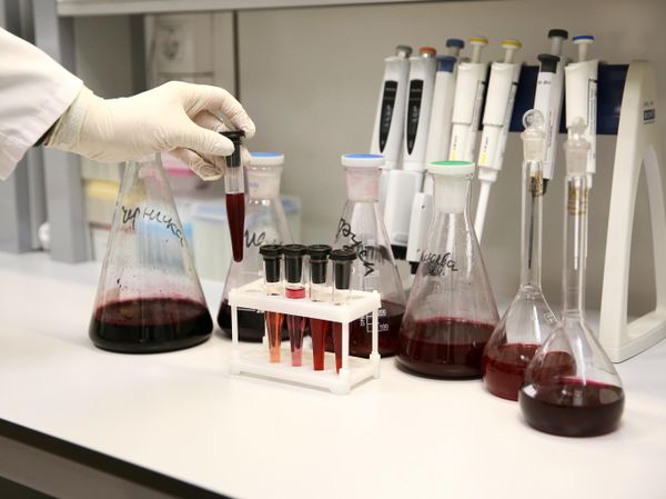Разработка геропротекторных функциональных продуктов