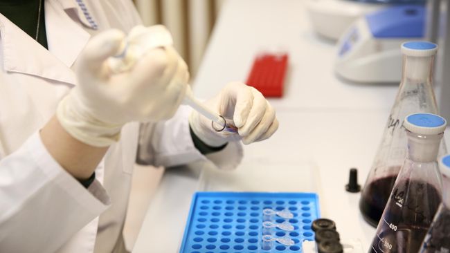 Разработка геропротекторных функциональных продуктов