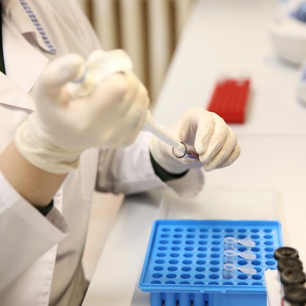 Разработка геропротекторных функциональных продуктов
