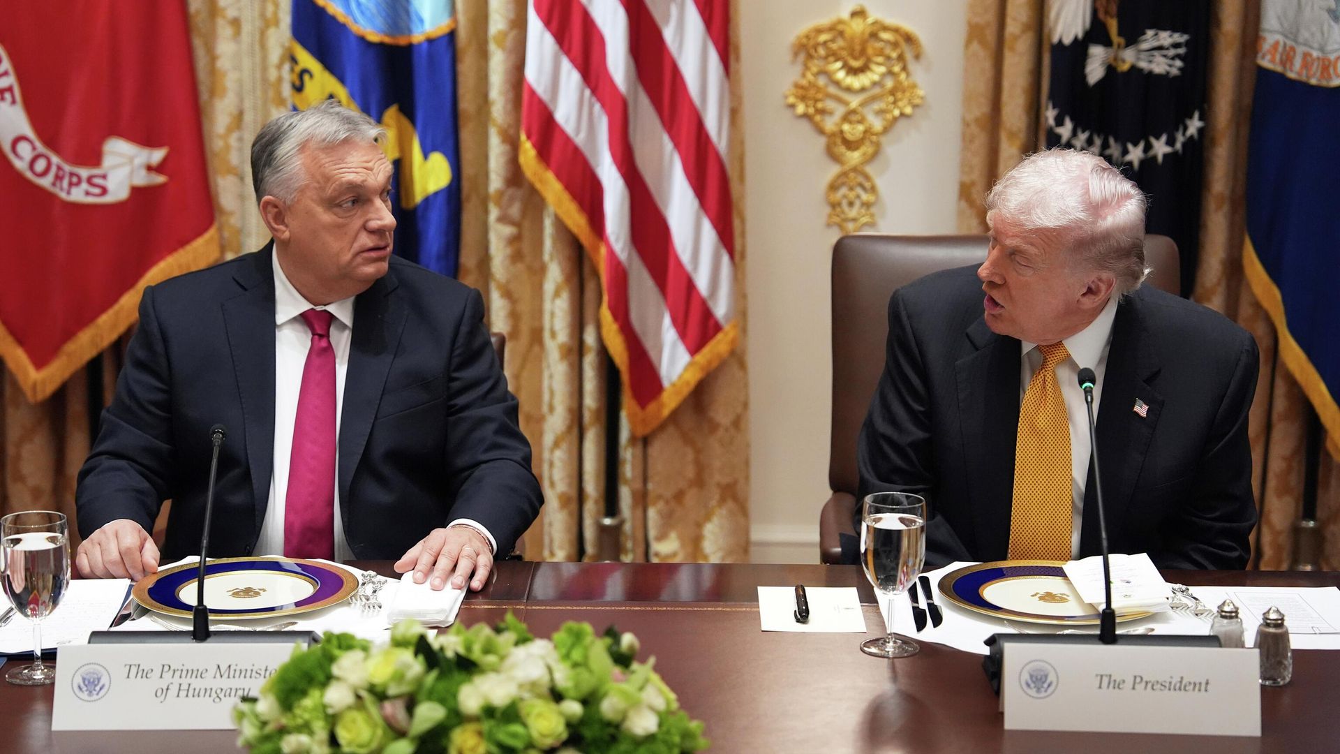 Президент США Дональд Трамп и премьер-министр Венгрии Виктор Орбан во время встречи Президент США Дональд Трамп и премьер-министр Венгрии Виктор Орбан во время встречи - РИА Новости, 1920, 07.11.2025