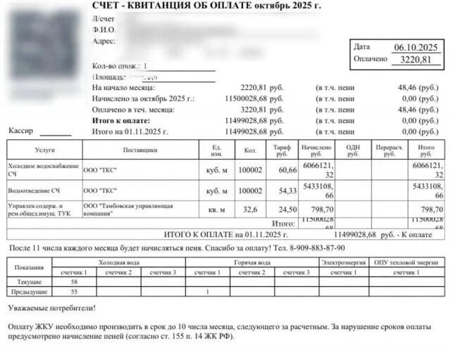 Счет за водоснабжение, который получила владелица жилья в селе Тамбовка Амурской области Счет за водоснабжение, который получила владелица жилья в селе Тамбовка Амурской области - РИА Новости, 1920, 11.11.2025