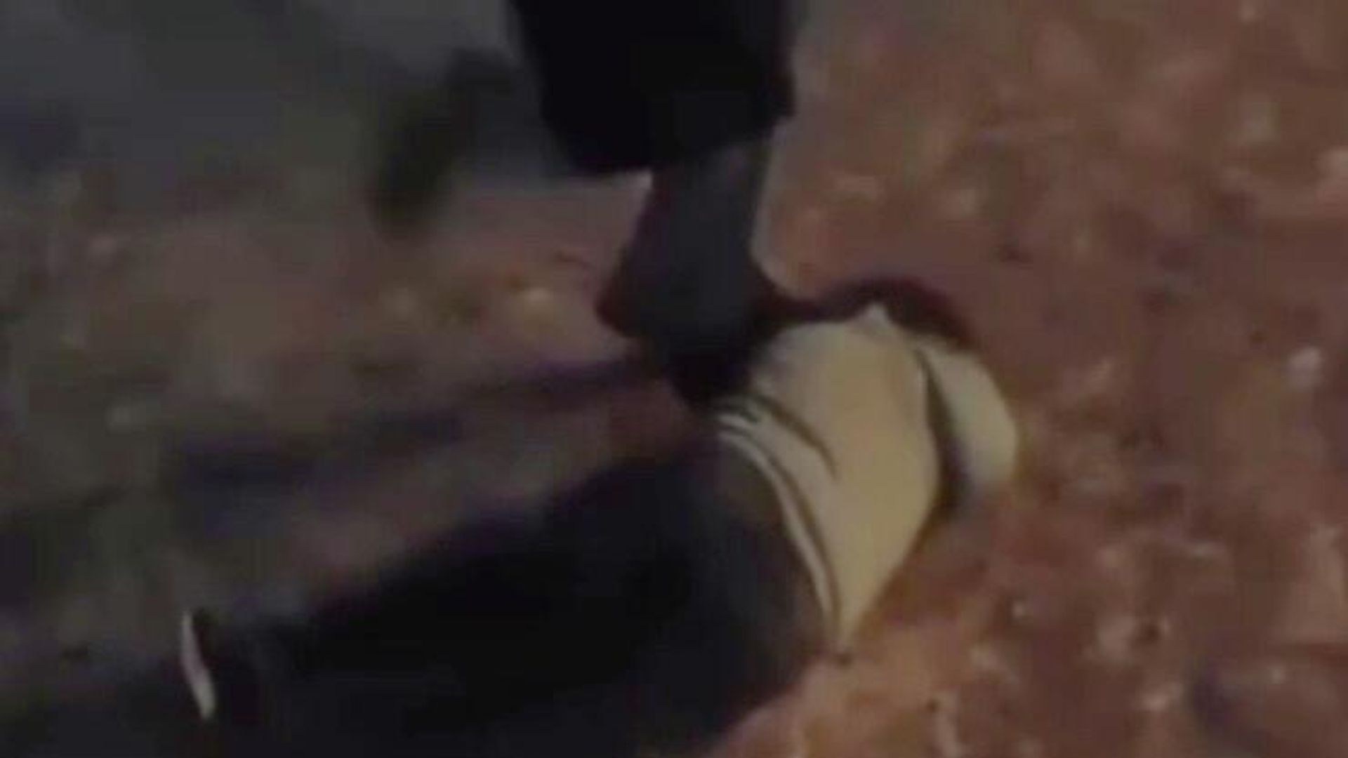 Кадр видео, на котором девочки-подростки избивают женщину в Биробиджане Кадр видео, на котором девочки-подростки избивают женщину в Биробиджане - РИА Новости, 1920, 13.11.2025