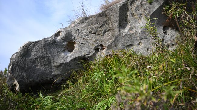 Мегалит (Камень Дмитрия Донского) на Куликовом поле Мегалит (Камень Дмитрия Донского) на Куликовом поле