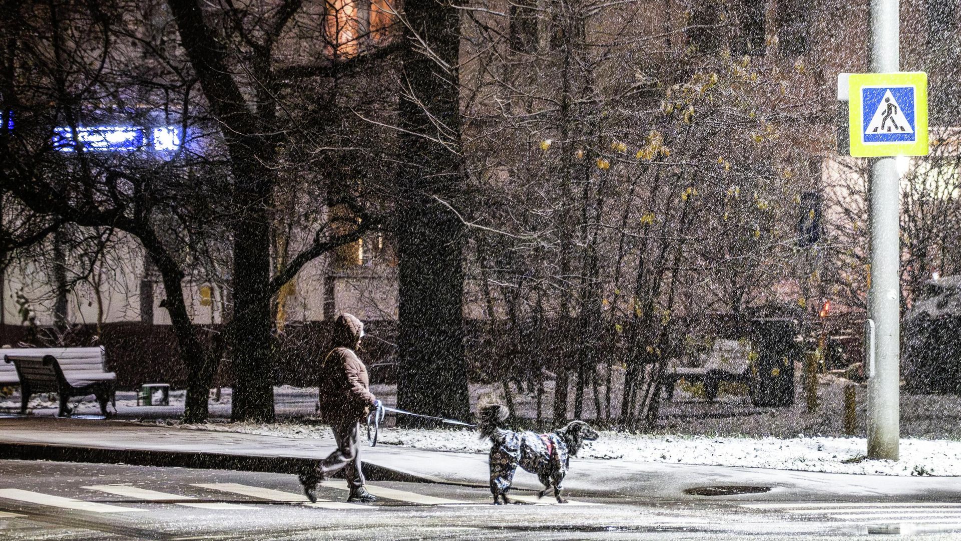 Женщина на прогулке с собакой во время снега в Москве Женщина на прогулке с собакой во время снега в Москве - РИА Новости, 1920, 09.12.2025