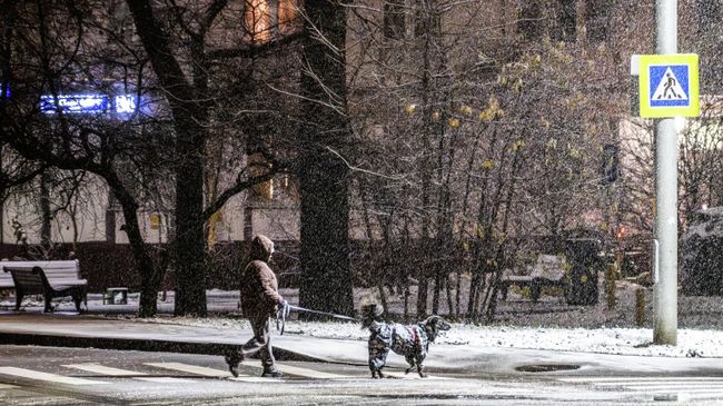 Женщина на прогулке с собакой во время снега в Москве