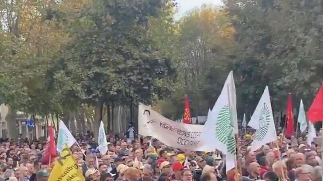 Манифестация виноградарей во Франции