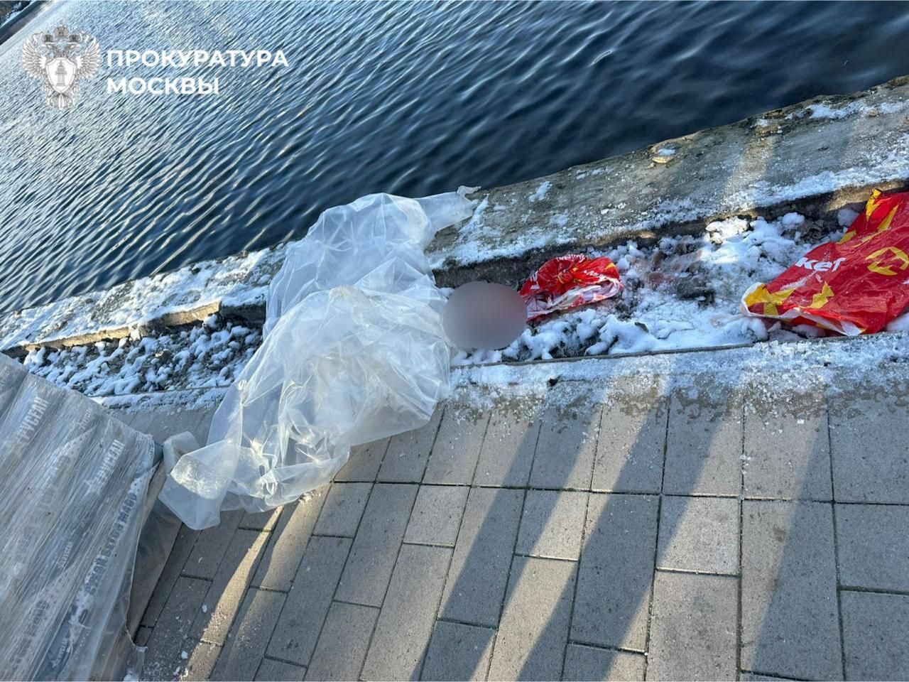 Останки человека в пакете в Гольяновском пруду на востоке Москвы - РИА Новости, 1920, 17.11.2025