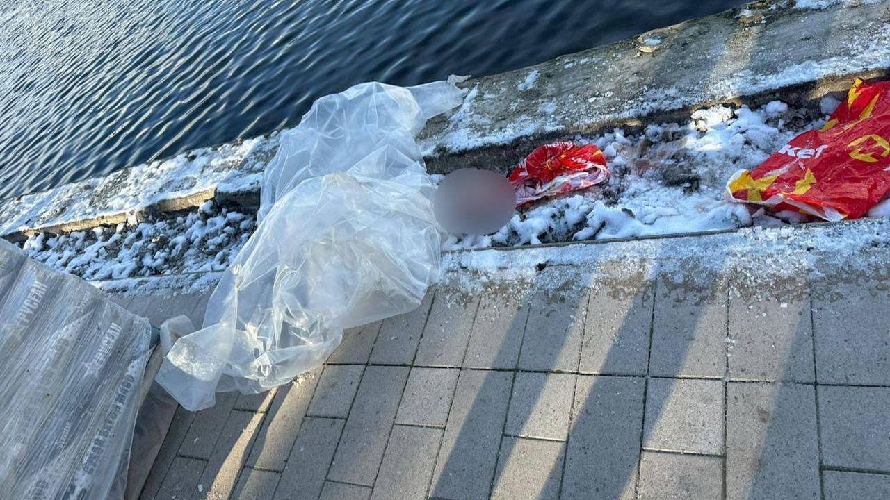 Останки человека в пакете в Гольяновском пруду на востоке Москвы - РИА Новости, 1920, 16.11.2025