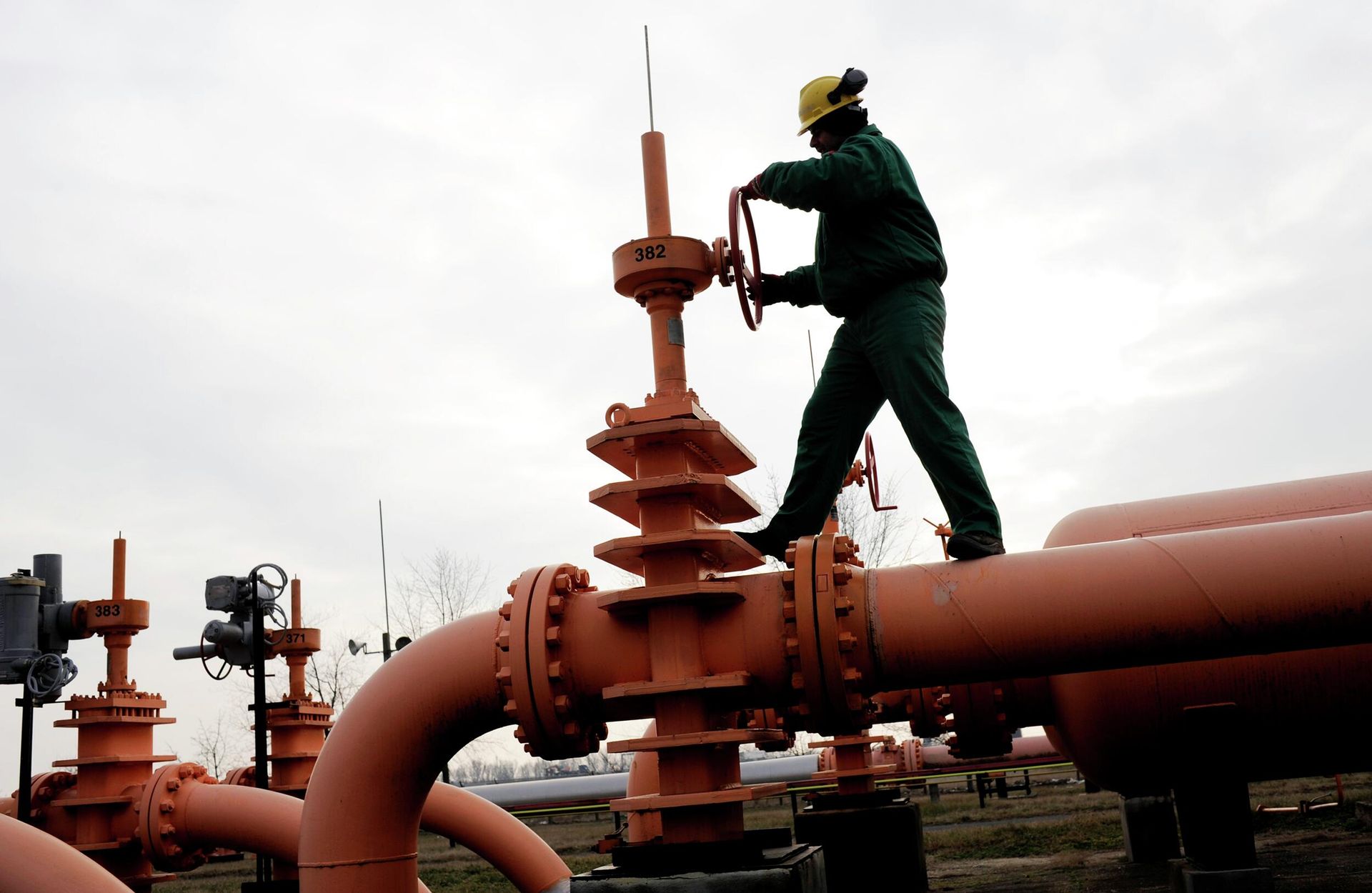 Сотрудник венгерской компании Mol Natural Gas Transporting Corp. Сотрудник венгерской компании Mol Natural Gas Transporting Corp. - РИА Новости, 1920, 12.12.2025