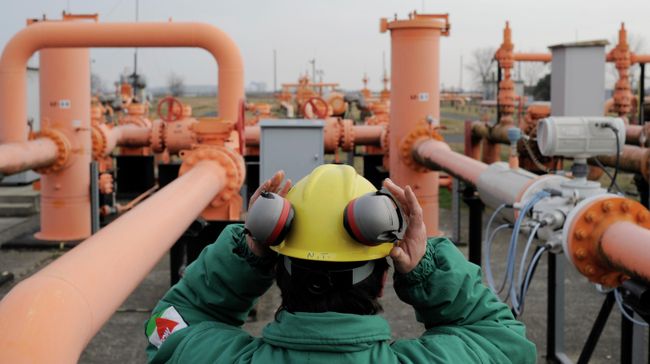 Сотрудник венгерской компании Mol Natural Gas Transporting Corp. Сотрудник венгерской компании Mol Natural Gas Transporting Corp.