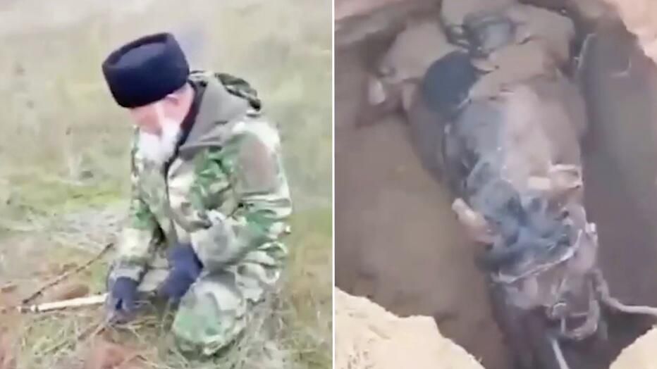Лошадь в степи под Астраханью провалилась в склеп времен Золотой Орды Лошадь в степи под Астраханью провалилась в склеп времен Золотой Орды - РИА Новости, 1920, 19.11.2025