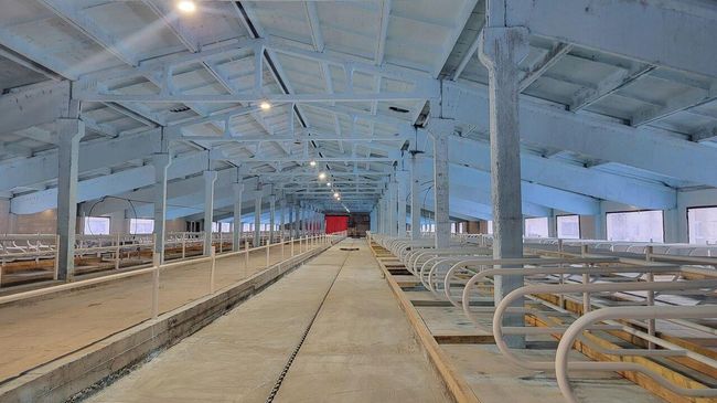 Молочный комплекс открыли после обновления в Тверской области
